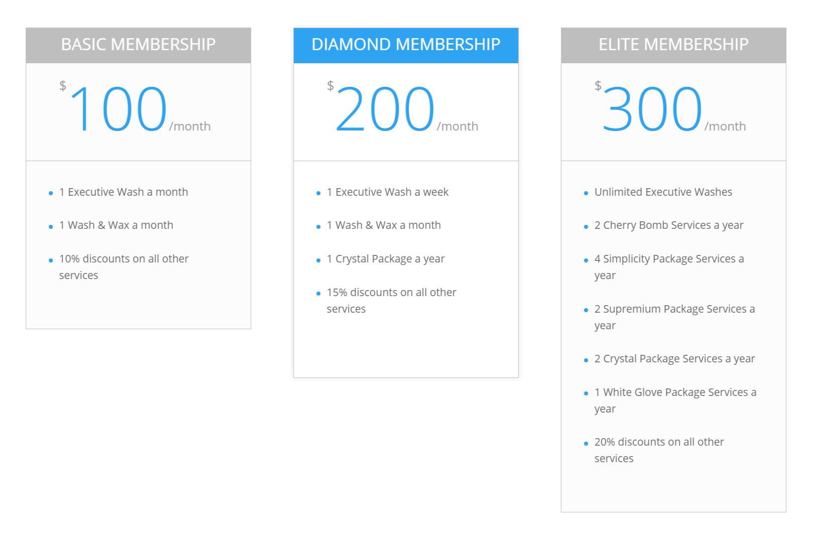 Auto Detailing Membership Program